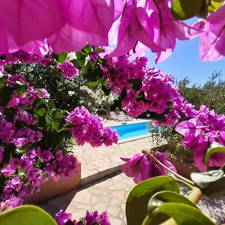 Lara & Luka Appartement *