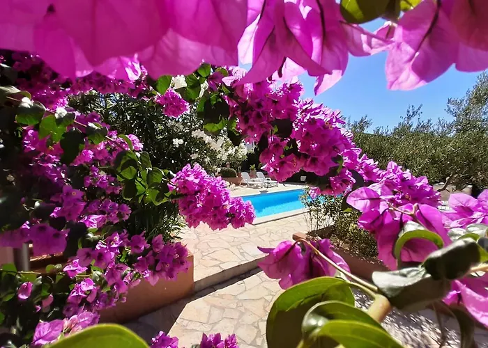 Lara & Luka Lejlighed *