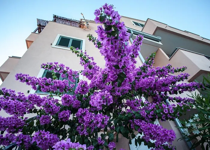 Lara & Luka Lejlighed