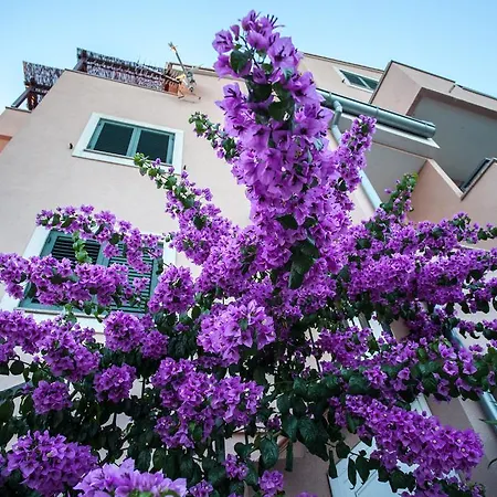 Apartments Lara & Luka Apartment