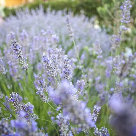 Appartement Lara & Luka Zadar