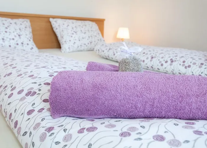 公寓 拉拉卢卡公寓酒店 扎达尔